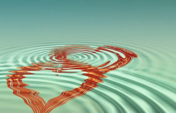 BingoCom Casino Soporte